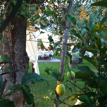 Hotel Da Filie' Querceta Bagian luar foto